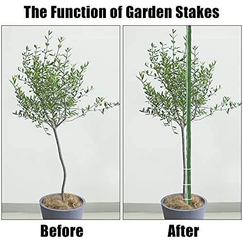 FEED GARDEN Garden Stakes 36 Inch 3ft 25 Pack, Sturdy Plant Metal Sticks Support, Plastic Coated Plant Stakes, Tomato Stakes, Beans, Trees - Image 2