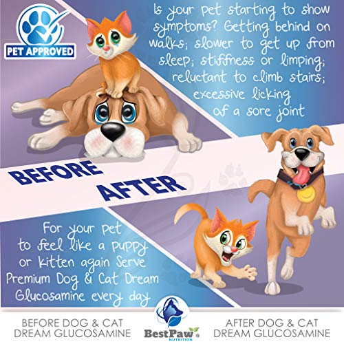 Best Paw Nutrition - Bacon Flavor Liquid Glucosamine for Dogs & Cats - Joint Supplement for Hip & Joint Pain Relief Pets Love - 32oz - Image 4